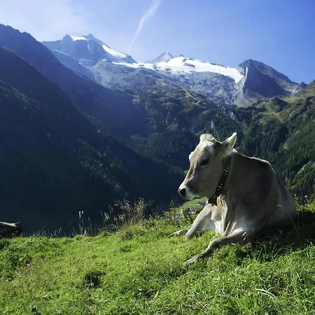 In Near Spieljoch Lift, Cleaning Included Apartment